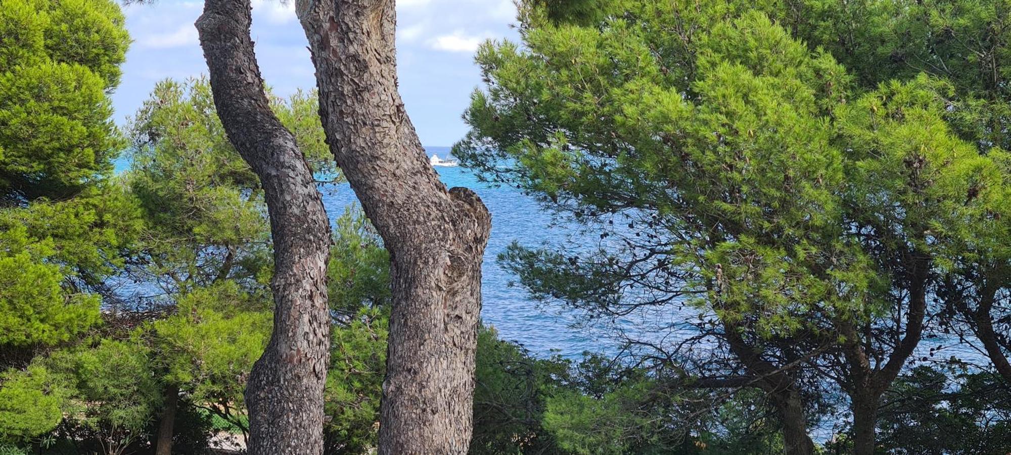 Puerto Azul 1 Apartman Peñíscola Kültér fotó
